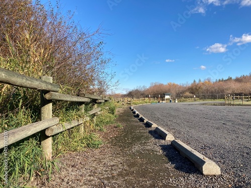 wooden fence in the countryside