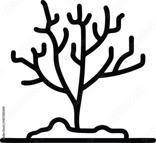 Silhouette of barren tree in winter