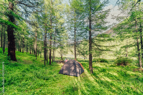 Obraz na płótnie tent in the wild w salonie