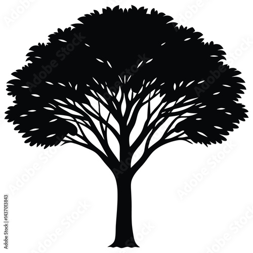Desert Trees and Cactus Icons saguaro technically a cactus, quiver, dragon, date palm, tamarisk, desert ironwood, palo verde, joshua, acacia