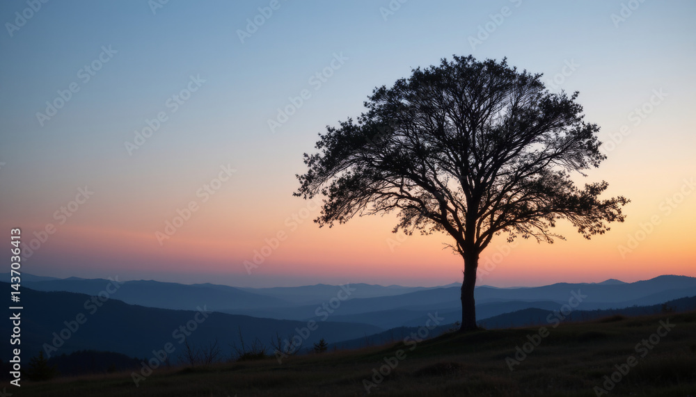 Solitary arched tree stands gracefully against colorful sunset, silhouetted by mountains in background, creating serene and peaceful atmosphere Solitary arched tree stands gracefully against colorful sunset, silhouetted by mountains in background, creating serene and peaceful atmosphere