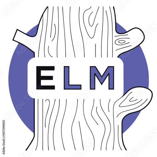 Popular Forest Trees and Nature Icons  birch, spruce, cedar, elm tree, beech tree, poplar, chestnut, sweetgum, aspen tree, sycamore