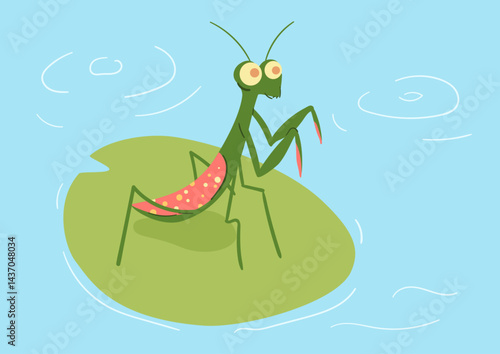 praying mantis insect on the lotus leaf illustration