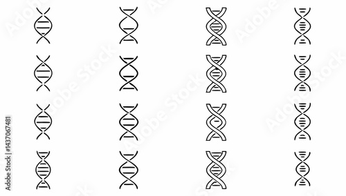 dna icon  long genetic molecule structure  dna ico (1).eps