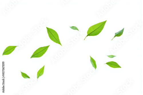 bunch of green leaves flying in the air