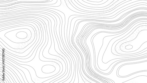 Topographic contour map. similarcartography illustration. Fish Fillet Texture, Salmon fillet texture, fish pattern. paper texture. 