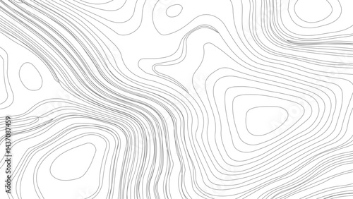 Topographic contour map. similarcartography illustration. Fish Fillet Texture, Salmon fillet texture, fish pattern. paper texture. 