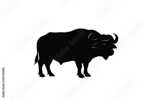 Cape buffalo silhouette. This image shows a cape buffalo silhouette, also known as African buffalo, characterized by its large horns and robust body. Vector clipart illustration design.