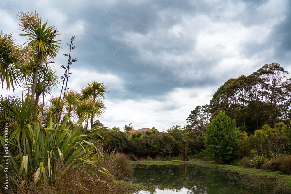 Obraz premium City lake in Auckland's residential area of ​​Albany with New Zealand flax and New Zealand cabbage tree