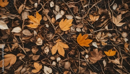 Autumnal Ground Cover Fallen Leaves Twigs and Branches Texture Background