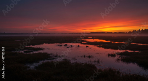 Swamp Creatures Emerging at Dusk
