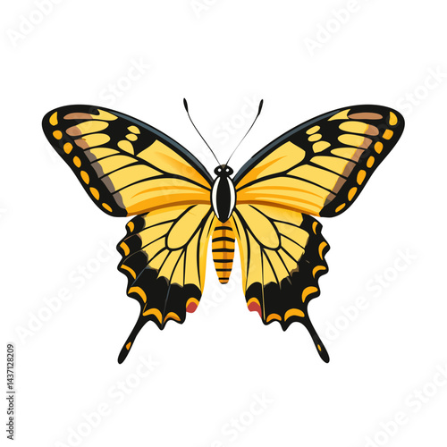 Beautiful Male Tiger Swallowtail Butterfly Isolated on White Background