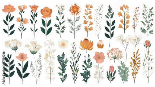 vector illustration of spring flowers