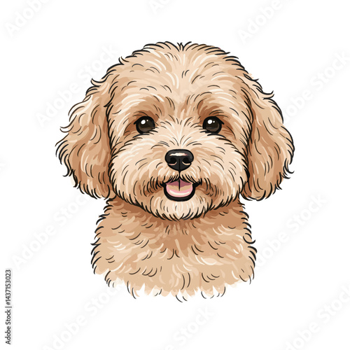 Fluffy Poodle Illustration