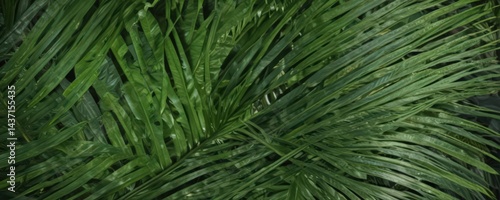 Vibrant green tropical palm leaf texture, close-up detail , illustration, organic, growth