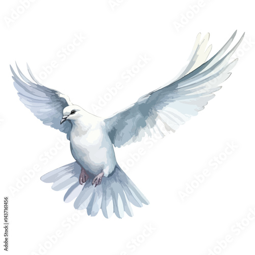 dove in flight cute watercolors illustration on white background