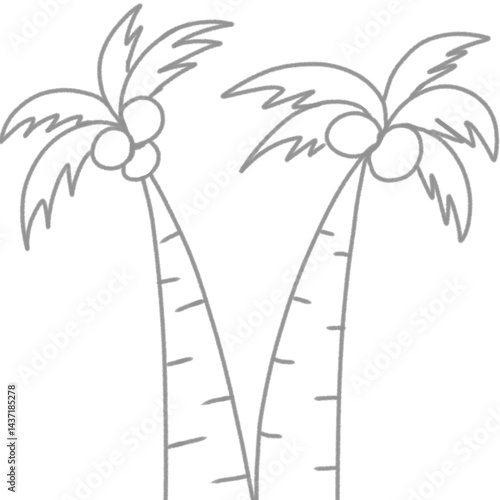 coconut palm tree