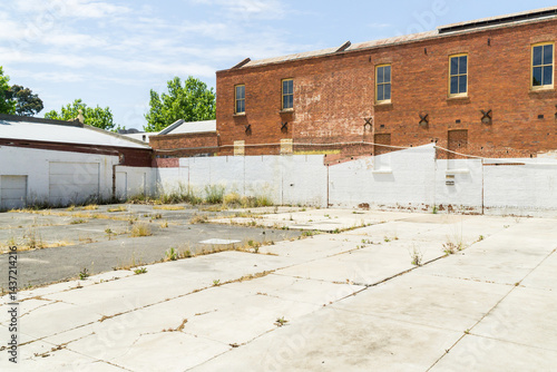 Wallpaper Mural Weeds growing in a vacant lot between buildings Torontodigital.ca