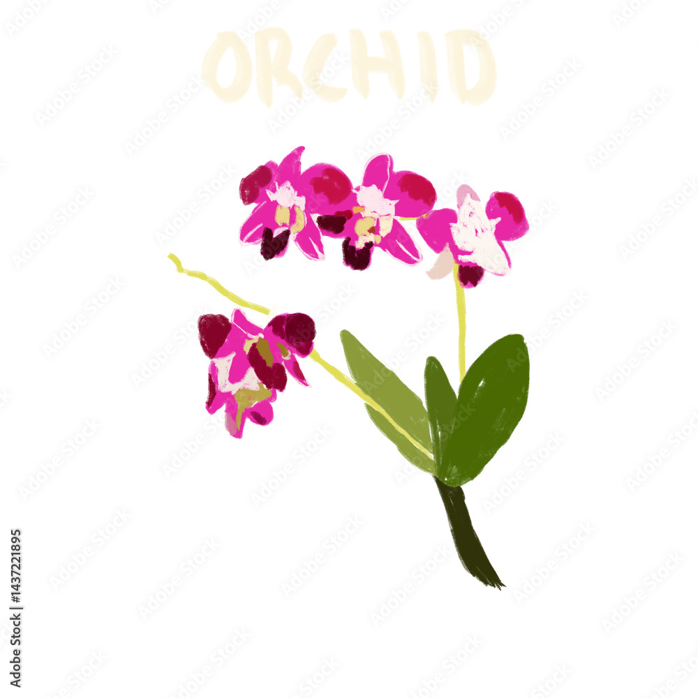 Hand Drawn and Hand Lettering Flower Hand Drawn and Hand Lettering Flower