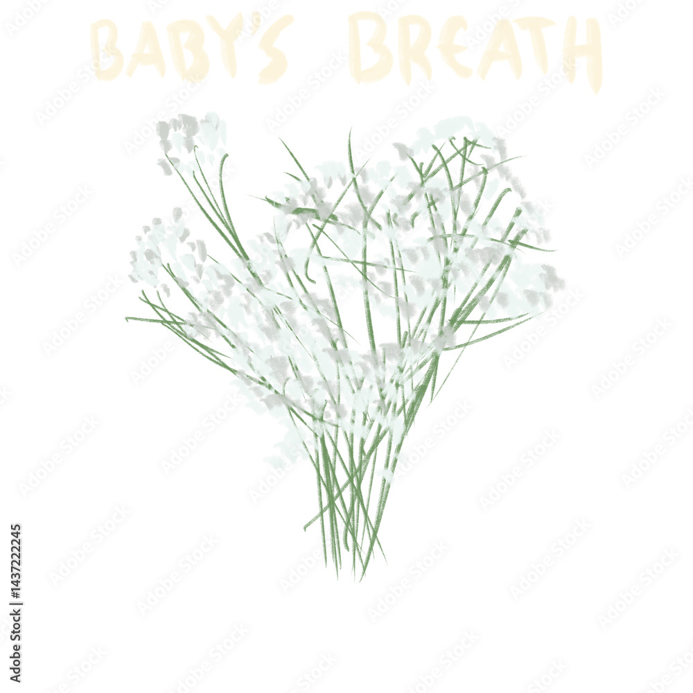 Fototapeta premium Hand Drawn and Hand Lettering Flower