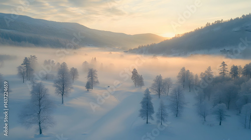 Wallpaper Mural Serene alpine panorama: snow-covered trees emerge from the winter fog at sunrise Torontodigital.ca