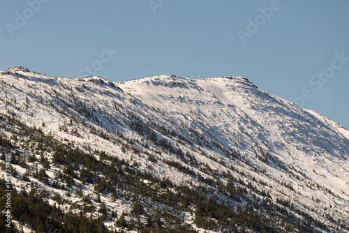 Fototapeta Naklejka Na Ścianę i Meble -  Mountain landscape in Poland. Babia Gora peak covered in winter snow. Babia Góra National Park.