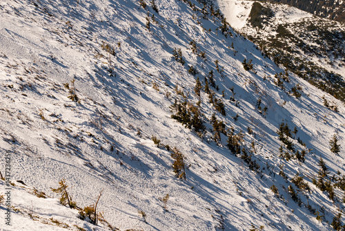 Fototapeta Naklejka Na Ścianę i Meble -  Mountain landscape in Poland. Babia Gora peak covered in winter snow. Babia Góra National Park.