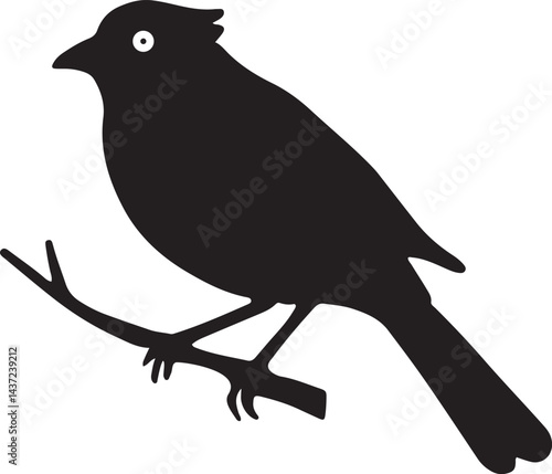 bird, sparrow, robin, eagle, hawk, pigeon, dove, flamingo, parrot, peacock, canary, stork, crow