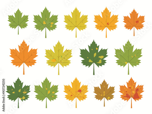 vegetal a highly detailed of new england fall leaves in multiple shades of green