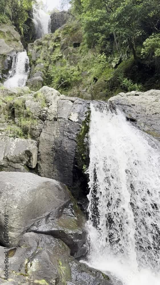 powerful unique Kaiate Falls close to Mount Maunganui, Tauranga, North Island, New Zealand. Soothing sound of falling water from rocks hidden deep in rainforest powerful unique Kaiate Falls close to Mount Maunganui, Tauranga, North Island, New Zealand. Soothing sound of falling water from rocks hidden deep in rainforest