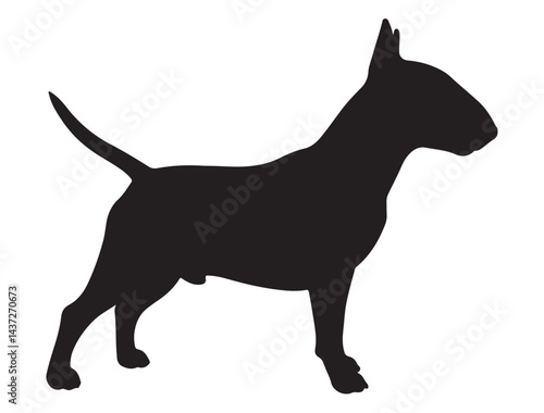 BULL TERRIER DOG SILHOUETTE