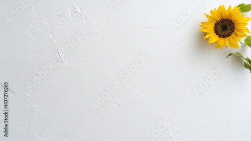Yellow sunflowers on a white background