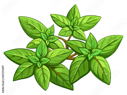 fresh basil leaves