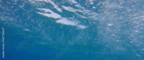 Wallpaper Mural Anamorphic video Underwater slow motion bubbles moving to surface Torontodigital.ca