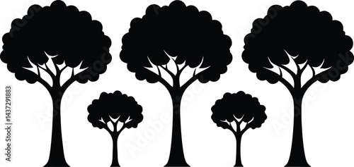 Beautiful Ash Tree Set Isolated Silhouette Vector Illustration Natural Forest Elements Collection Art