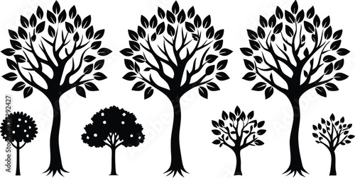 Beautiful Ash Tree Set Isolated Silhouette Vector Illustration Natural Forest Elements Collection Art