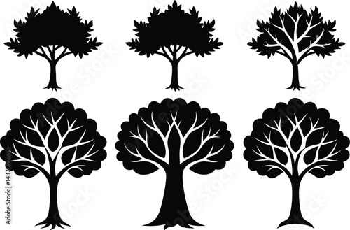 Beautiful Ash Tree Set Isolated Silhouette Vector Illustration Natural Forest Elements Collection Art