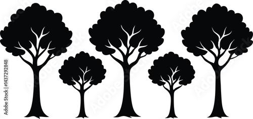 Beautiful Ash Tree Set Isolated Silhouette Vector Illustration Natural Forest Elements Collection Art