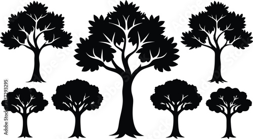 Beautiful Ash Tree Set Isolated Silhouette Vector Illustration Natural Forest Elements Collection Art