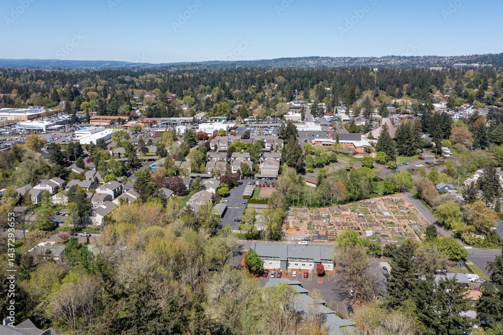 Fototapeta premium Aerial drone photo of Beaverton and West Hills residential neighborhoods, nice houses, green trees, streets, houses during spring season under a clear blue sky
