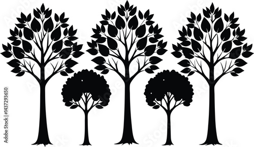 Beautiful Ash Tree Set Isolated Silhouette Vector Illustration Natural Forest Elements Collection Art