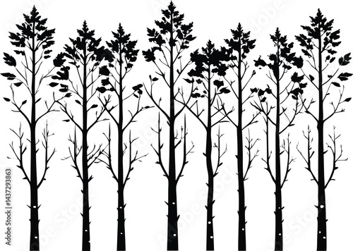 Beautiful Aspen Tree Set Isolated Silhouette Vector Illustration Natural Forest Elements Collection