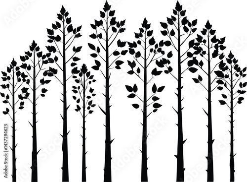 Beautiful Aspen Tree Set Isolated Silhouette Vector Illustration Natural Forest Elements Collection