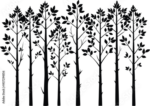 Beautiful Aspen Tree Set Isolated Silhouette Vector Illustration Natural Forest Elements Collection
