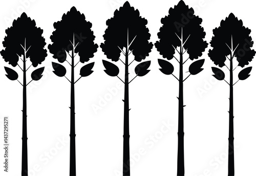 Beautiful Aspen Tree Set Isolated Silhouette Vector Illustration Natural Forest Elements Collection