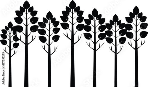 Beautiful Aspen Tree Set Isolated Silhouette Vector Illustration Natural Forest Elements Collection