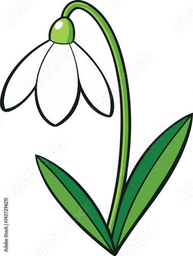 branch with snowdrop with green leaves