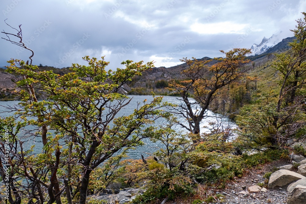 Obraz premium amazing beautiful patagonia nature in summer