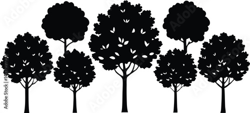 Beautiful Beech Tree Set Isolated Silhouette Vector Illustration Natural Forest Elements Collection