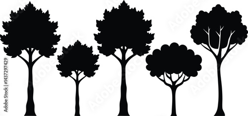 Beautiful Beech Tree Set Isolated Silhouette Vector Illustration Natural Forest Elements Collection